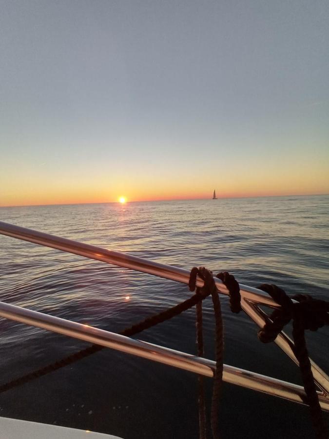 Готель Diamantedouro - Boat Віла-Нова-де-Гая Екстер'єр фото
